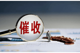 开发区专业讨债公司有哪些核心服务？